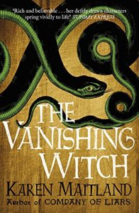 Baixar The Vanishing Witch (English Edition) pdf, epub, eBook