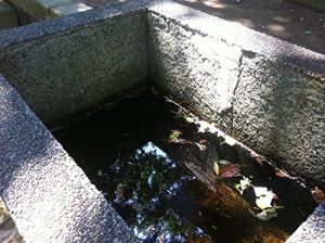 Baixar REIKAIMONOGATARI NI MIRARERU WARAIGOE TO SYUUJI: DEGUCHI ONISABUROU NO SINSEI (Japanese Edition) pdf, epub, eBook