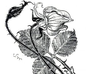 Baixar j-klsmtustanj pdf, epub, eBook