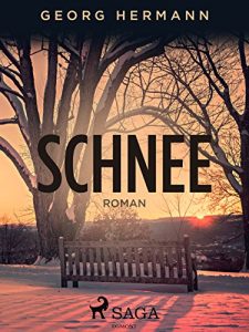 Baixar Schnee pdf, epub, eBook