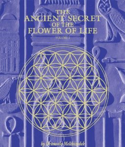 Baixar The Ancient Secret of the Flower of Life, Vol. 1 (English Edition) pdf, epub, eBook