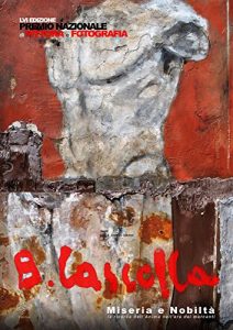 Baixar Premio Basilio Cascella 2012 – Pittura pdf, epub, eBook