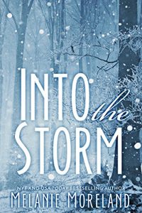 Baixar Into The Storm (English Edition) pdf, epub, eBook