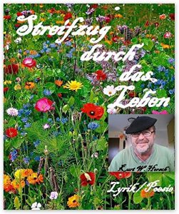 Baixar Streifzug durch das Leben: Lyrik / Poesie (German Edition) pdf, epub, eBook