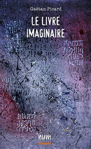 Baixar Le livre imaginaire (French Edition) pdf, epub, eBook