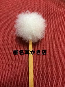Baixar SIINAMIMIKAKITEN (Japanese Edition) pdf, epub, eBook