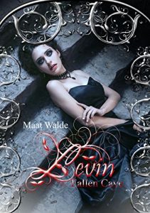 Baixar Levin – Fallen Cave (Teil 1) (German Edition) pdf, epub, eBook
