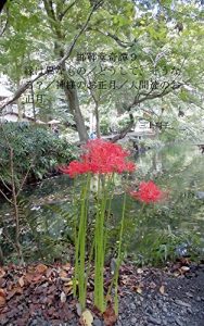 Baixar kantandoukitan9 enhainamono  dousitesounaru (Japanese Edition) pdf, epub, eBook