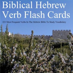 Baixar Biblical Hebrew Verb Flash Cards – 221 Most Frequent Verbs In The Hebrew Bible To Study Vocabulary (English Edition) pdf, epub, eBook