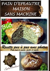 Baixar RECETTE PAIN D’EPEAUTRE SANS MACHINE: RECETTE PAS A PAS SIMPLE ET FACILE (French Edition) pdf, epub, eBook