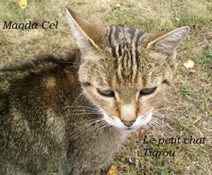 Baixar Le petit chat Tigrou (French Edition) pdf, epub, eBook