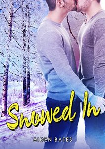 Baixar Snowed In (English Edition) pdf, epub, eBook