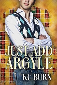 Baixar Just Add Argyle (Fabric Hearts Book 3) (English Edition) pdf, epub, eBook