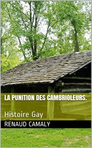 Baixar La punition des cambrioleurs.: Histoire Gay (French Edition) pdf, epub, eBook