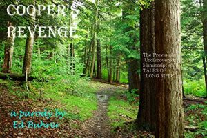 Baixar COOPER’S REVENGE: The Previously Undiscovered Manuscript of TALES OF LONG RIFLE (English Edition) pdf, epub, eBook