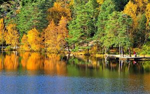 Baixar Beautiful landscapes of Sweden: Photo book, Photo album, Photo gallery, Travel book, Travel journal, Travel memoir (sweden, landscape, scandinavia, beautiful, … forest, swedish, tourism) (English Edition) pdf, epub, eBook