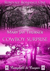 Baixar Cowboy Surprise (Rosevale Romance 1) (German Edition) pdf, epub, eBook
