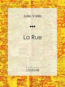 Baixar La Rue: Journaux (French Edition) pdf, epub, eBook
