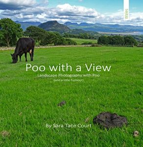Baixar Poo With A View: Landscape Photography and Poo (Poo With A View – Wales) (English Edition) pdf, epub, eBook