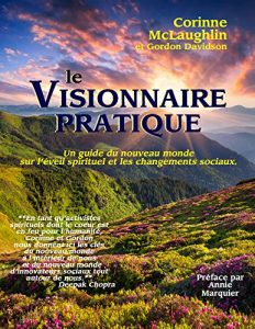 Baixar Le Visionnaire Pratique (French Edition) pdf, epub, eBook
