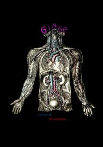 Baixar Ginge pdf, epub, eBook