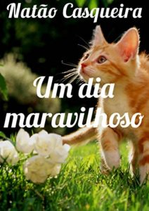 Baixar Um dia maravilhoso pdf, epub, eBook