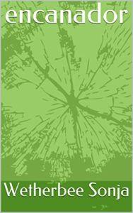 Baixar encanador pdf, epub, eBook
