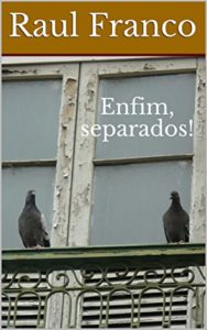 Baixar Enfim, separados! pdf, epub, eBook