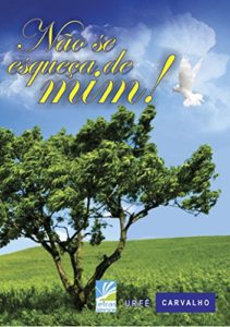 Baixar Não se esqueça de mim! pdf, epub, eBook