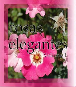 Baixar rosas elegantes Volume 1 pdf, epub, eBook