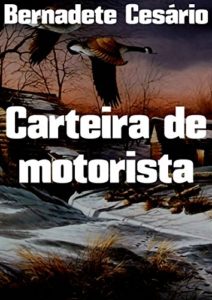 Baixar Carteira de motorista pdf, epub, eBook