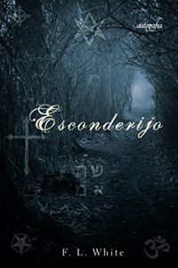 Baixar Esconderijo pdf, epub, eBook