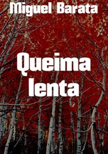 Baixar Queima lenta pdf, epub, eBook