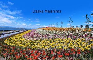 Baixar Osaka Maishima pdf, epub, eBook