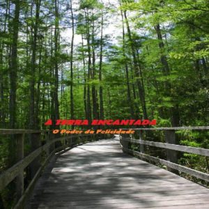 Baixar Livro Infantil – A TERRA ENCANTADA- O PODER DA FELICIDADE pdf, epub, eBook