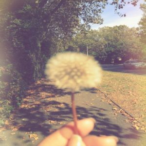 Baixar Desentulhe-se pdf, epub, eBook