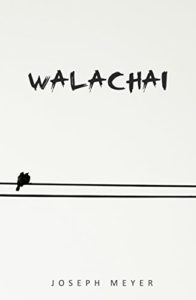 Baixar Walachai pdf, epub, eBook