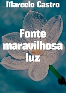Baixar Fonte maravilhosa luz pdf, epub, eBook