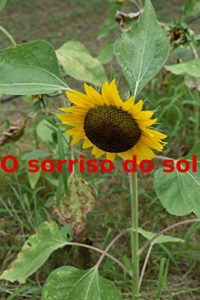 Baixar O sorriso do sol pdf, epub, eBook