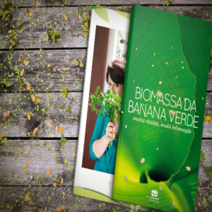 Baixar Receitas com biomassa – como fazer e usar pdf, epub, eBook