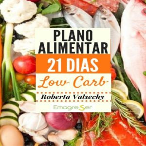 Baixar Plano Alimentar 21 DIAS Low Carb pdf, epub, eBook