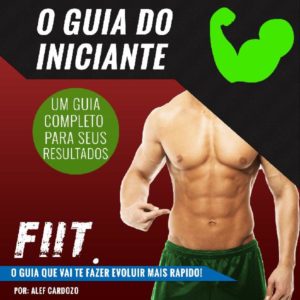 Baixar O Guia de Treino do Iniciante pdf, epub, eBook