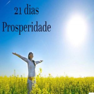 Baixar desafio 21 dias para a prosperidade pdf, epub, eBook