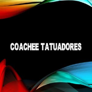 Baixar Coachee Tatuadores pdf, epub, eBook