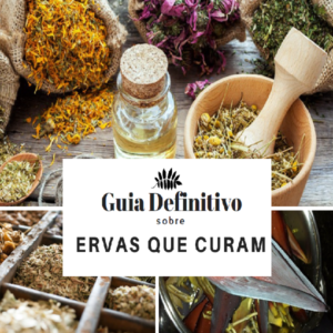 Baixar Guia Definitivo sobre Ervas que Curam. pdf, epub, eBook