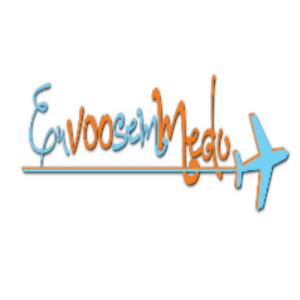 Baixar Eu Voo Sem Medo pdf, epub, eBook