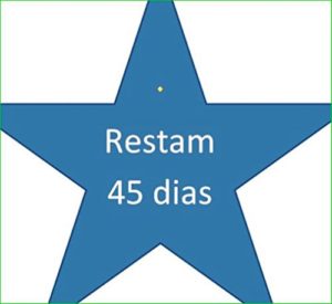 Baixar Restam 45 dias pdf, epub, eBook