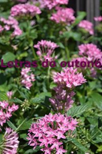 Baixar Letras do outono pdf, epub, eBook