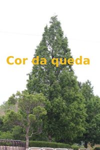 Baixar Cor da queda pdf, epub, eBook