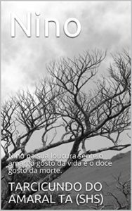 Baixar Nino: Nino na sua loucura sente o amargo gosto da vida e o doce gosto da morte. pdf, epub, eBook